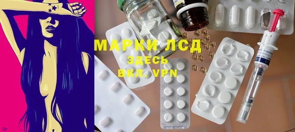 ПСИЛОЦИБИНОВЫЕ ГРИБЫ Арсеньев
