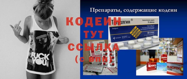 ПСИЛОЦИБИНОВЫЕ ГРИБЫ Арсеньев