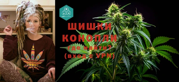 ПСИЛОЦИБИНОВЫЕ ГРИБЫ Арсеньев