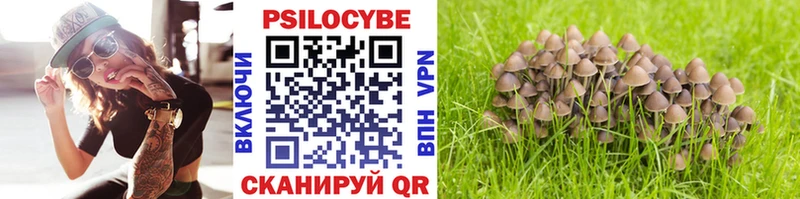 Купить  Кубинка  Псилоцибиновые грибы Psilocybe 